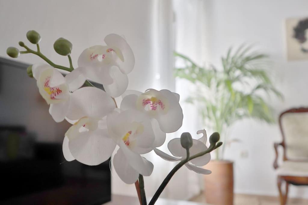 Apartamento La Juderia I
